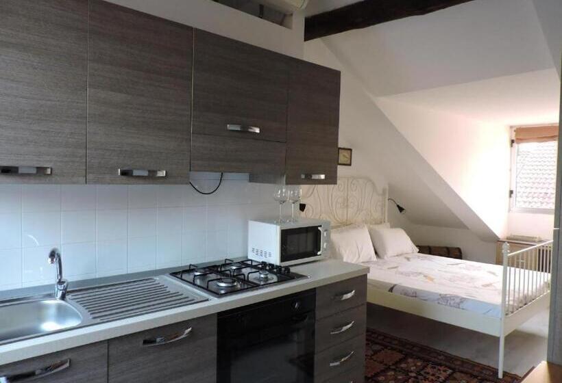 إستديو قياسى مزود بشرفة, Residenze Torinesi