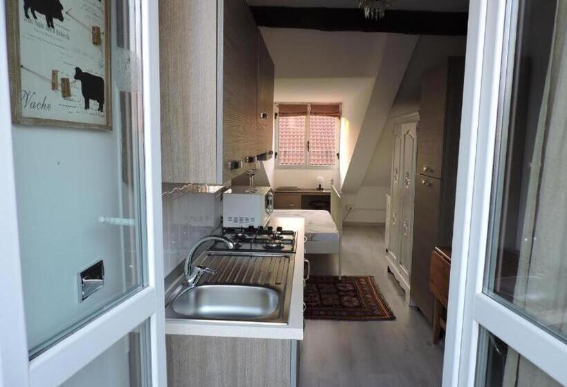 إستديو قياسى مزود بشرفة, Residenze Torinesi