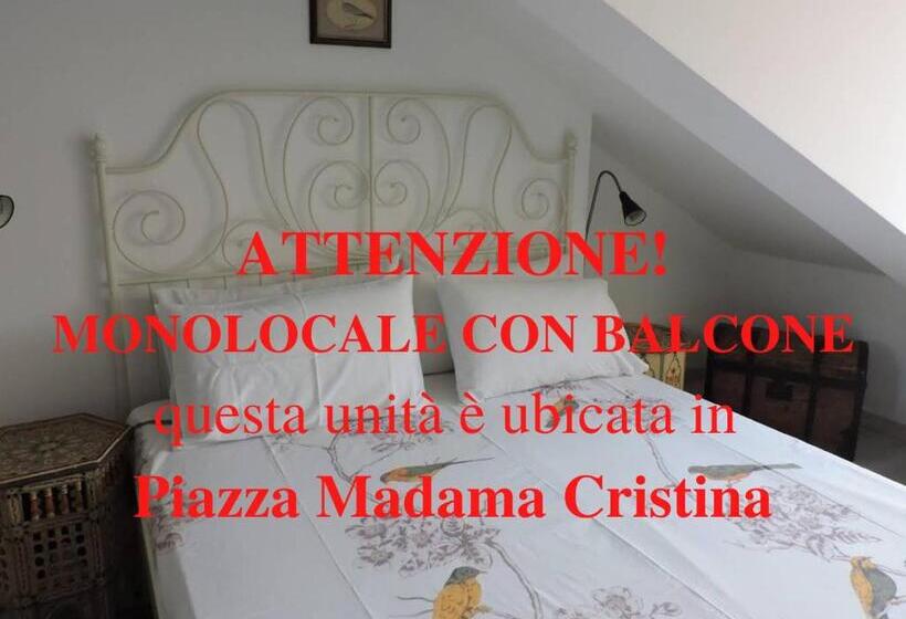 إستديو قياسى مزود بشرفة, Residenze Torinesi