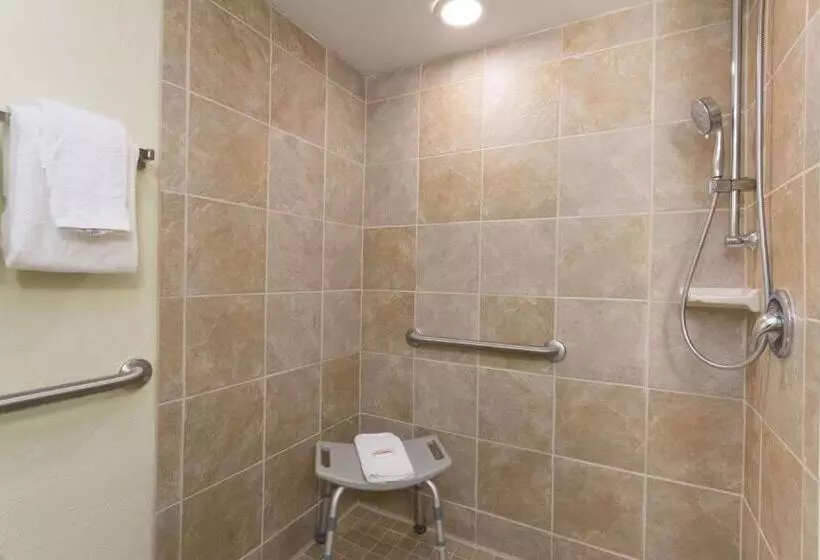 身障者適用スタンダードルーム, Days Inn By Wyndham Cocoa Beach Port Canaveral