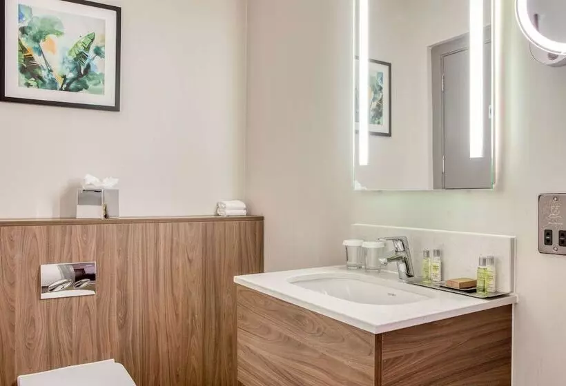 ２ダブルベッドのスタンダードルーム, Doubletree By Hilton London   Chelsea