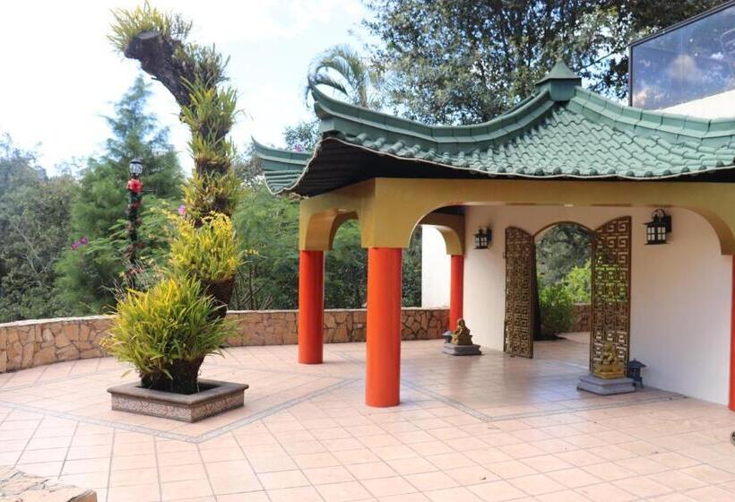 سوییت جونیور, Suites Jardin Imperial