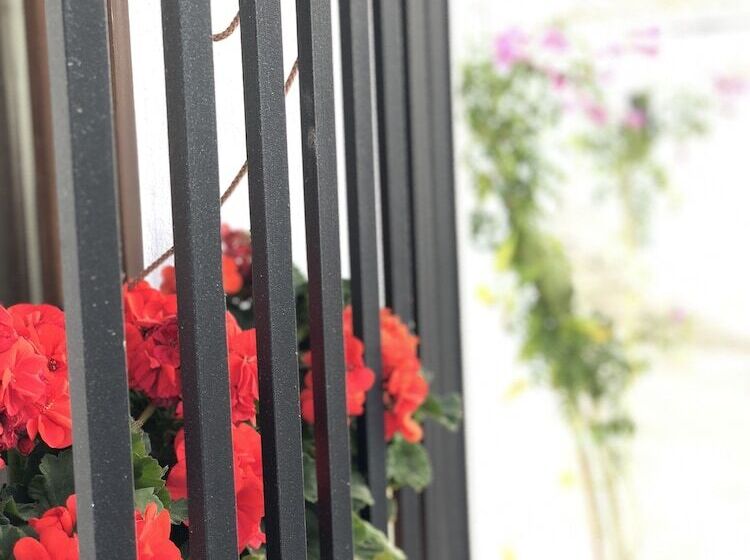 חדר סטודיו סטנדרד, Abaco Altea