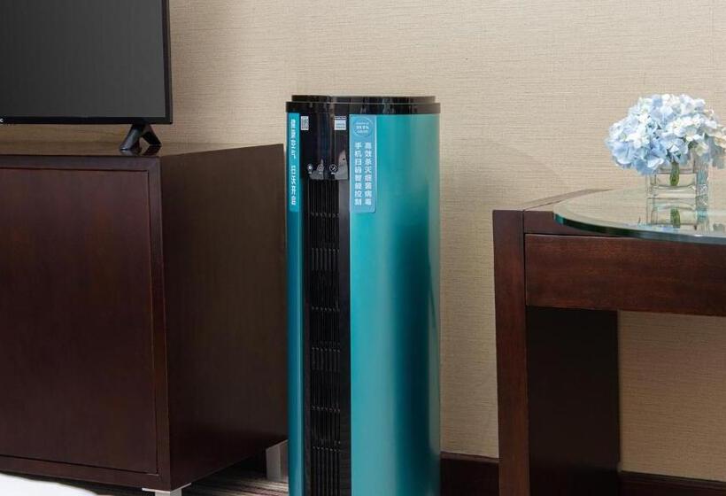 اتاق لوکس با تخت بزرگ, Binbei Yiho