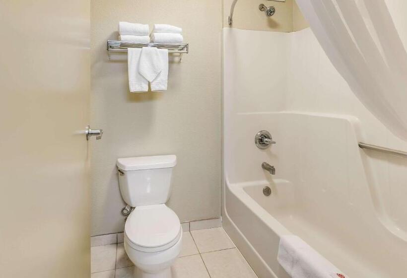 Suite Letto King, Comfort Suites Chicago O Hare Airport