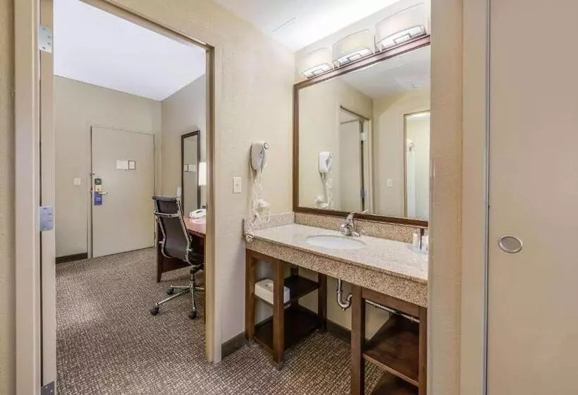 سوئیت با تخت بزرگ, Comfort Suites Chicago O Hare Airport