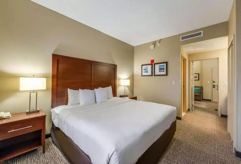 سوئیت با تخت بزرگ, Comfort Suites Chicago O Hare Airport