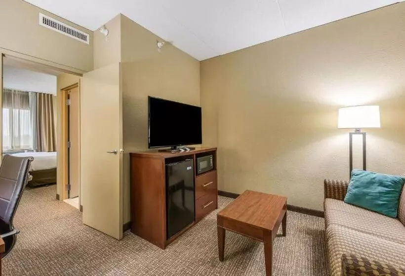 سوئیت با تخت بزرگ, Comfort Suites Chicago O Hare Airport
