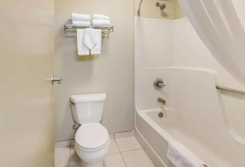 سوییت, Comfort Suites Chicago O Hare Airport
