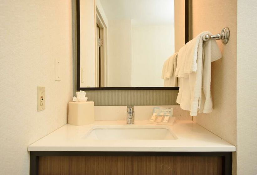 스탠다드 룸 더블 침대 2개, Hilton Garden Inn Saratoga Springs