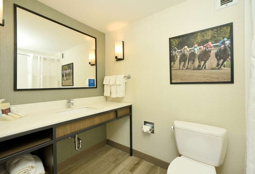 디럭스 룸, Hilton Garden Inn Saratoga Springs