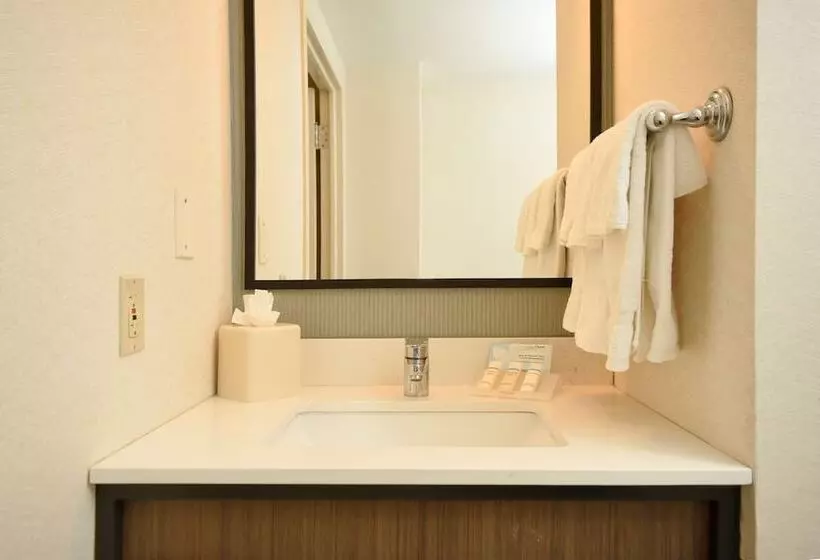 デラックスルーム, Hilton Garden Inn Saratoga Springs