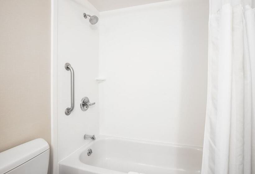 디럭스 룸, Hilton Garden Inn Saratoga Springs