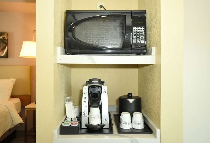 Номер Deluxe, Hilton Garden Inn Saratoga Springs
