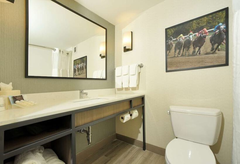 디럭스 룸, Hilton Garden Inn Saratoga Springs