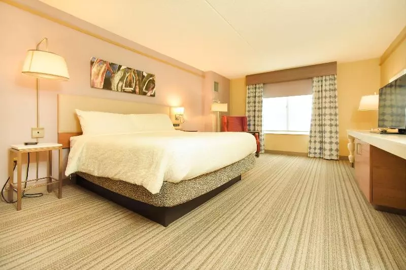 キングサイズベッドのスタンダードルーム, Hilton Garden Inn Saratoga Springs