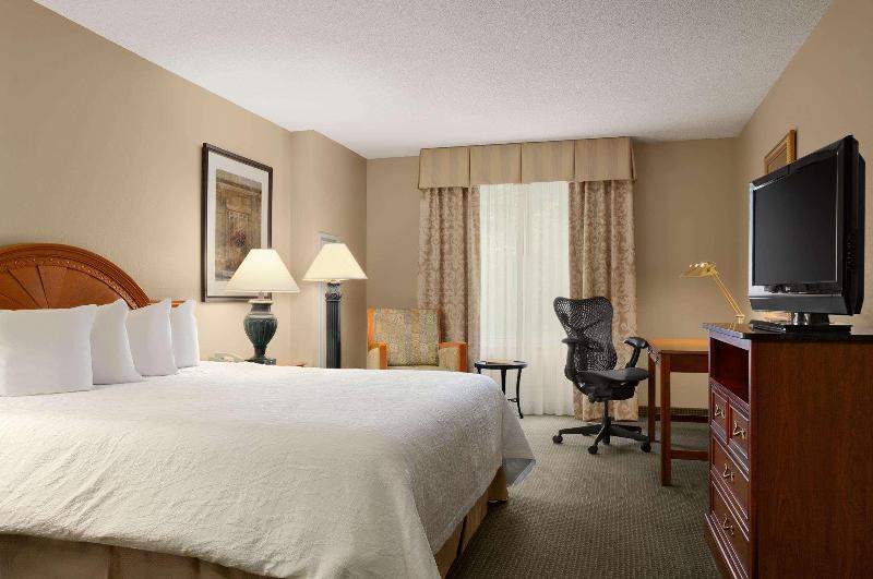 스탠다드 룸 킹사이즈 침대, Hilton Garden Inn Saratoga Springs