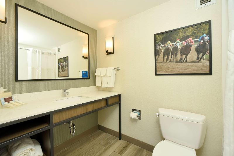 Номер Премиум, Hilton Garden Inn Saratoga Springs
