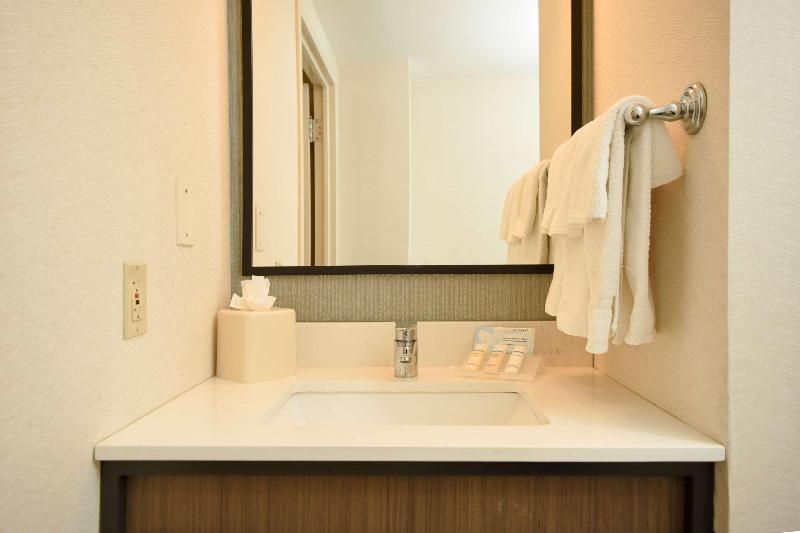 스탠다드 룸, Hilton Garden Inn Saratoga Springs