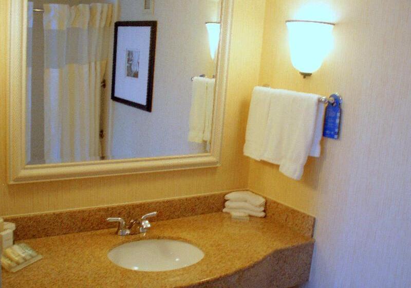 스탠다드 룸, Hilton Garden Inn Saratoga Springs