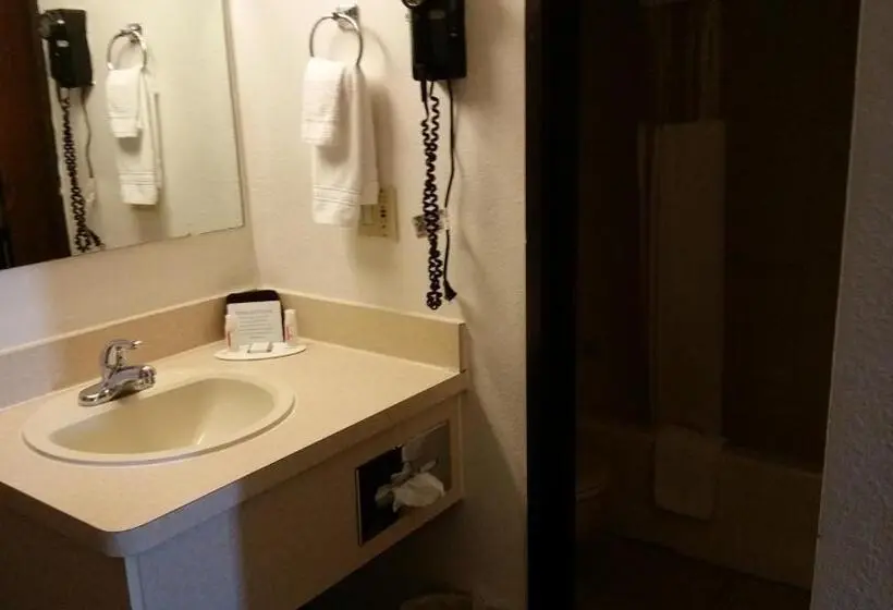 اتاق استاندارد برای معلولان, Howard Johnson By Wyndham Billings