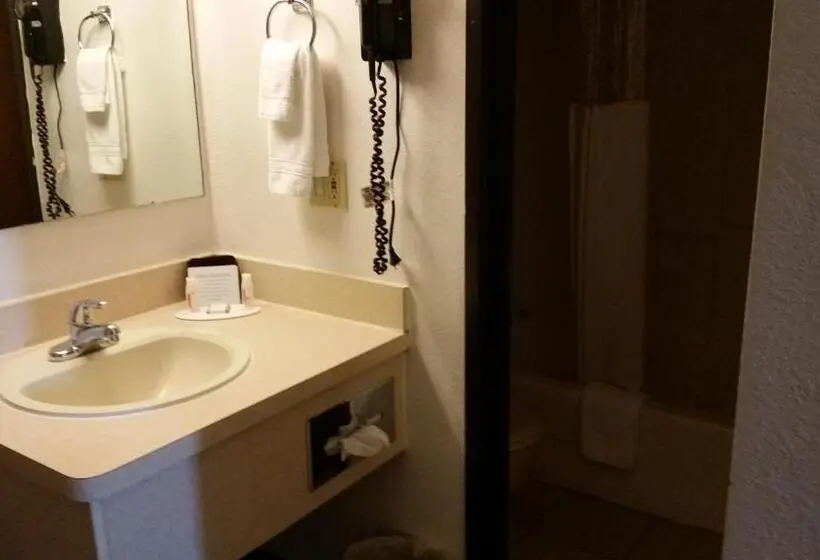 اتاق استاندارد با تخت بزرگ, Howard Johnson By Wyndham Billings