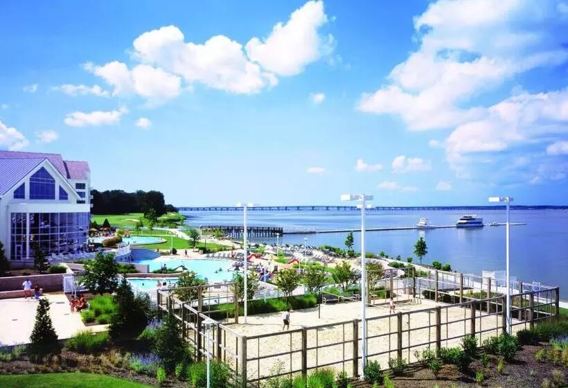 キングサイズベッドのスイートルーム, Hyatt Regency Chesapeake Bay Golf Resort, Spa & Marina