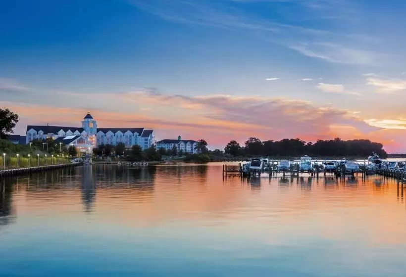 身障者適用キングサイズベッドルーム, Hyatt Regency Chesapeake Bay Golf Resort, Spa & Marina