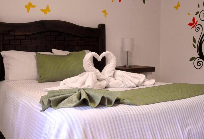 Номер Стандарт, Posada Las Casas