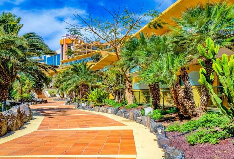 スタンダードシングルルーム, Sbh Club Paraiso Playa