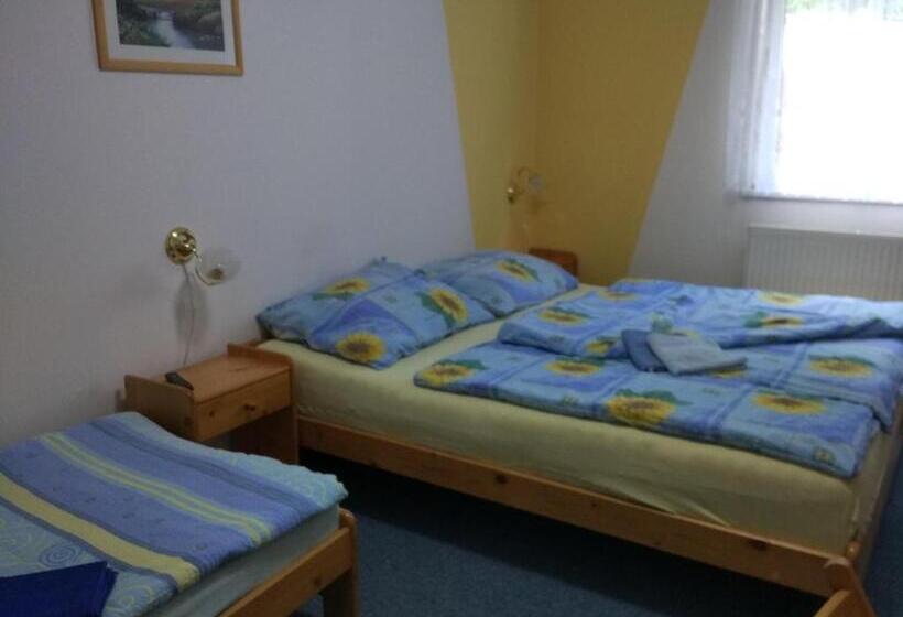 اتاق استاندارد سه نفره, Penzion Pomněnka