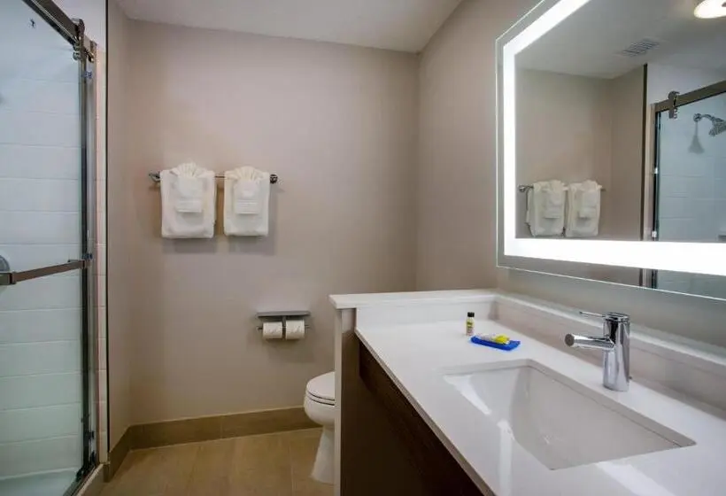 身障者適用スタンダードルーム, Holiday Inn Express & Suites   Deland South, An Ihg