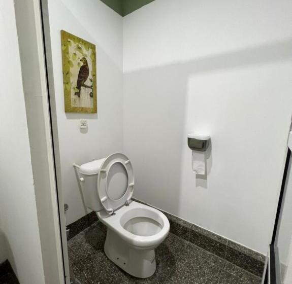 디럭스 룸 킹사이즈 침대, Summer Spring