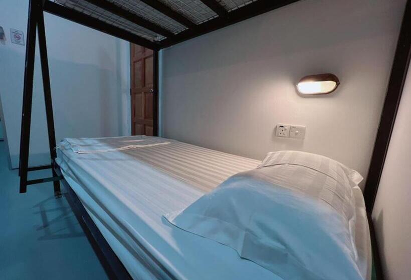 공동 객실, Summer Spring