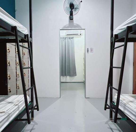 공동 객실, Summer Spring