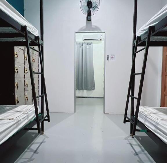 공동 객실, Summer Spring