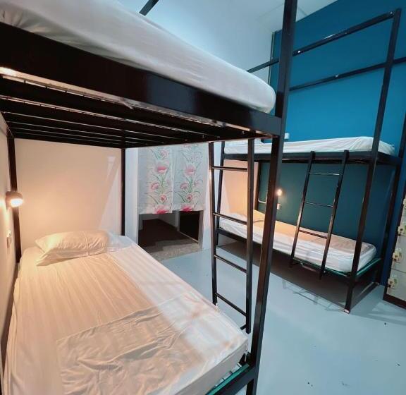 공동 객실, Summer Spring