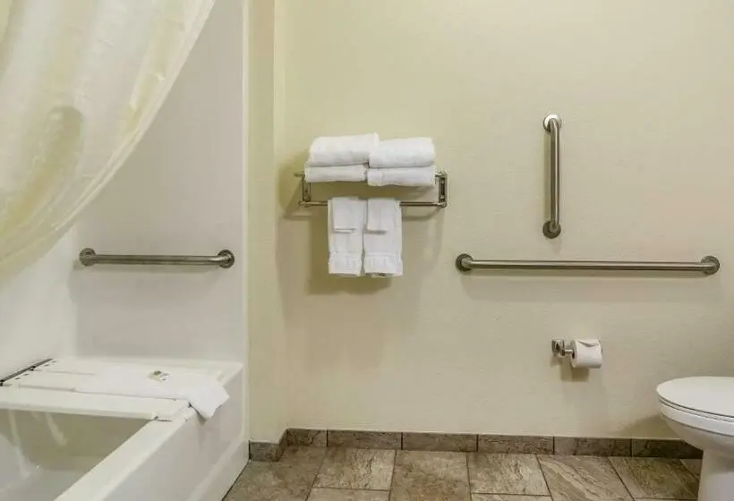スタンダードスタジオ, Cobblestone Hotel & Suites   Newport