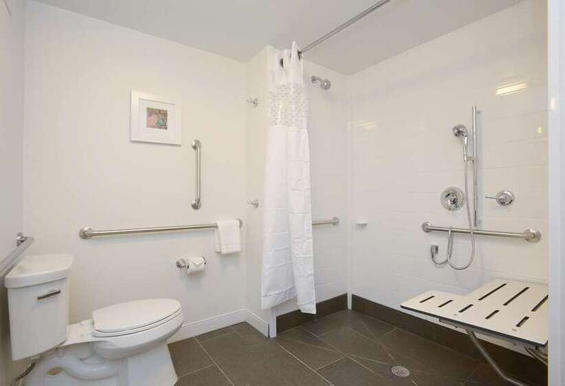 장애인을 위한 킹사이즈 침대 스탠다드 룸, Hampton Inn & Suites Watsonville