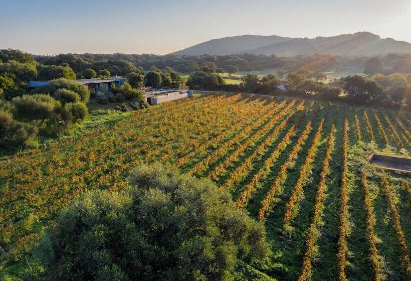 수피리어 룸, Domaine De Peretti Della Rocca