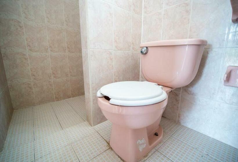 חדר סטנדרט, Arena Surf