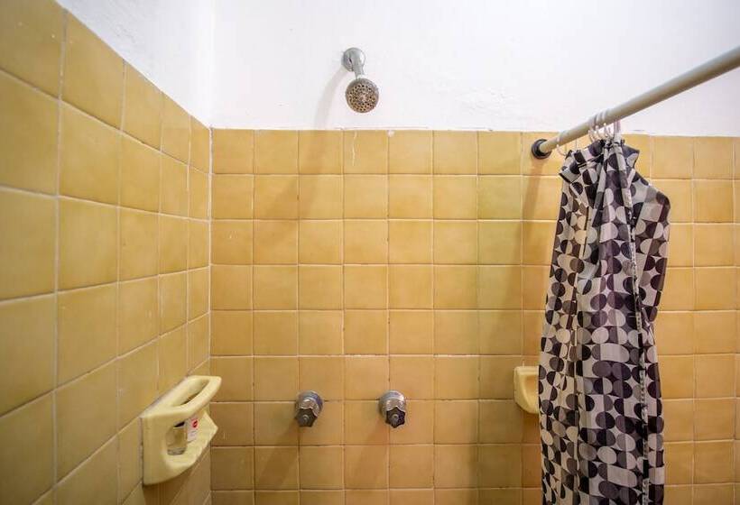 חדר סטנדרט, Arena Surf