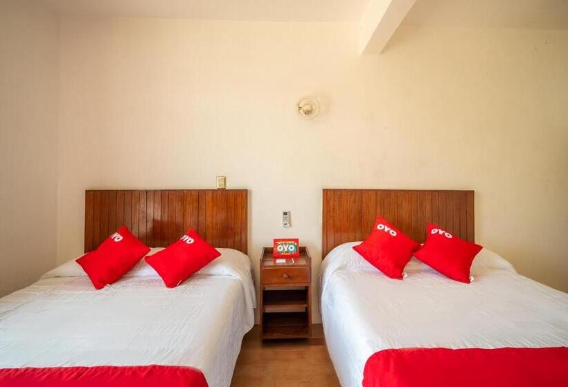 חדר סטנדרט, Arena Surf