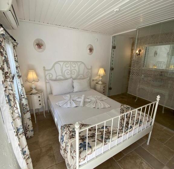 חדר סטנדרט, Alacati Roka Tas Otel