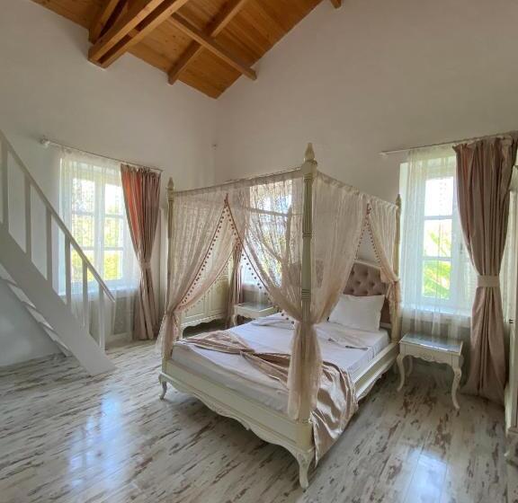 נוף לבריכה, Alacati Roka Tas Otel