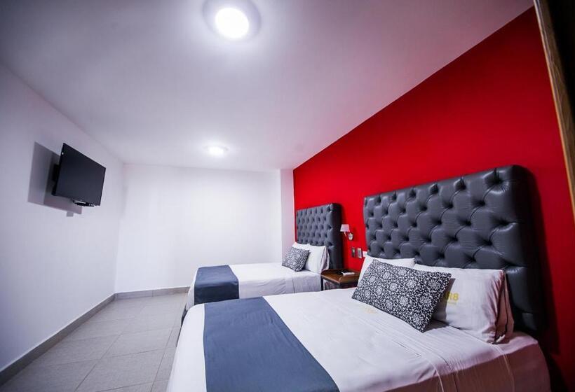 اتاق سوپریور, Jar8 Acuario Enfrente Al Acuario De Veracruz