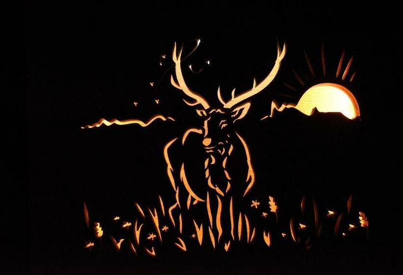 غرفة ديلوكس, Penzion U Medvěda