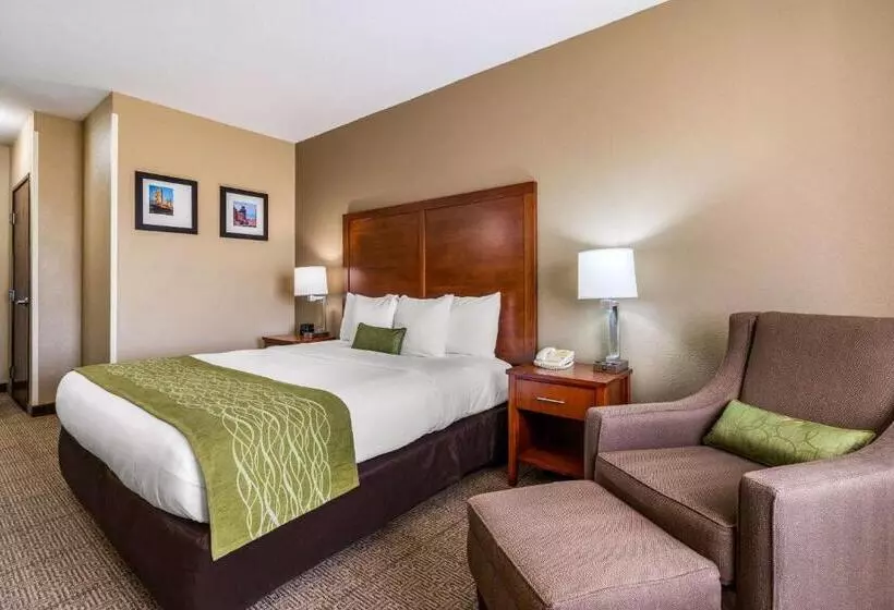 اتاق استاندارد با تخت بزرگ, Comfort Inn & Suites Sacramento   University Area