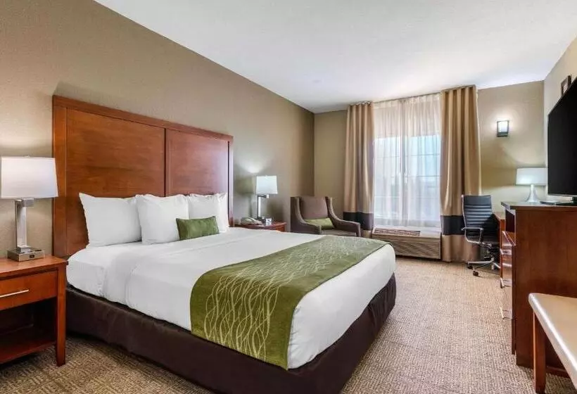 اتاق استاندارد با تخت بزرگ, Comfort Inn & Suites Sacramento   University Area