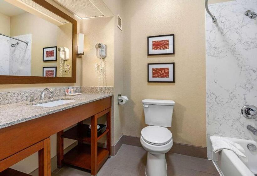 스탠다드 룸, Comfort Inn & Suites Sacramento   University Area